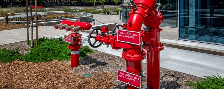 a fire hydrant